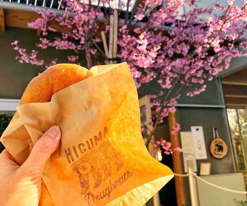 HIGUMA Doughnutsを桜の木の下で食べる
